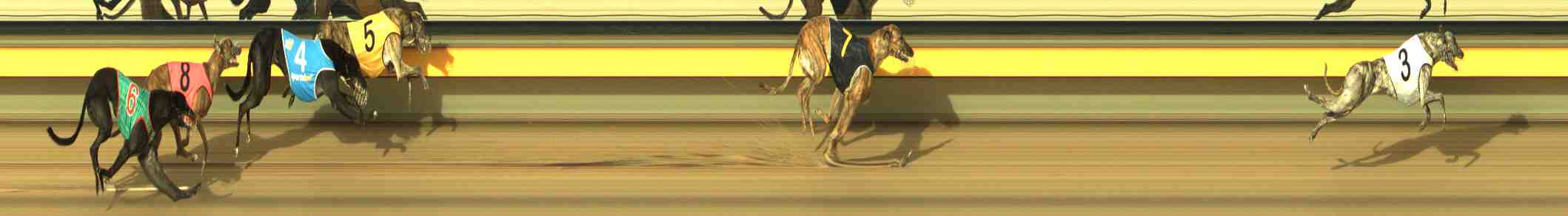 Photo finish for Horsham Race 9