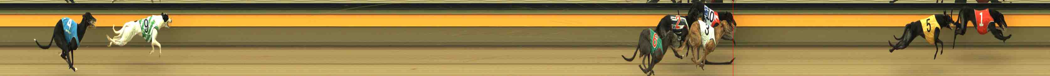 Photo finish for Horsham Race 10
