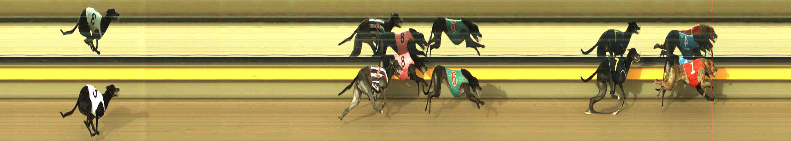 Photo finish for Horsham Race 11