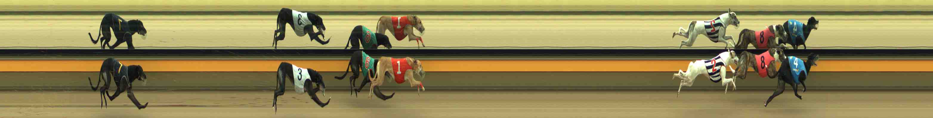Photo finish for Horsham Race 12