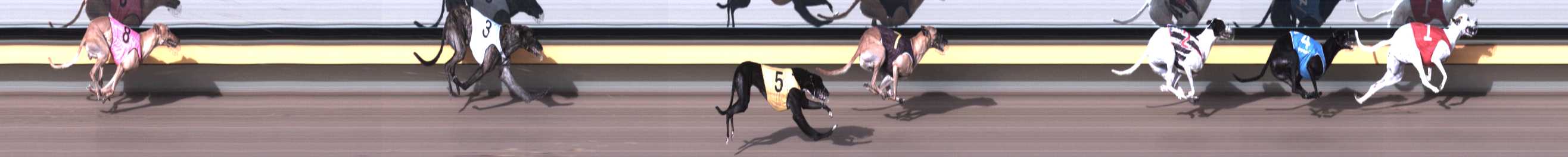 Photo finish for Horsham Race 8