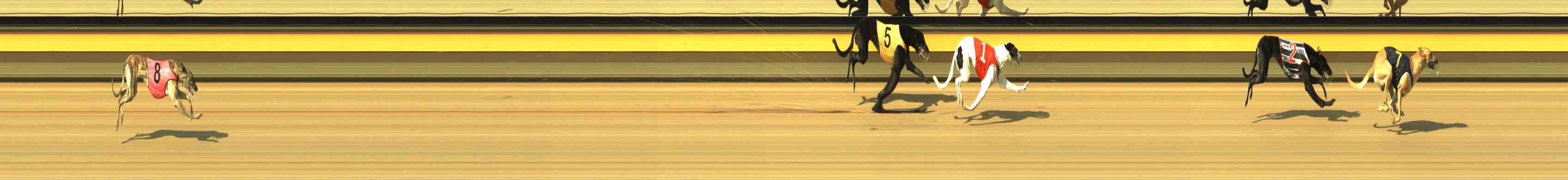Photo finish for Horsham Race 1