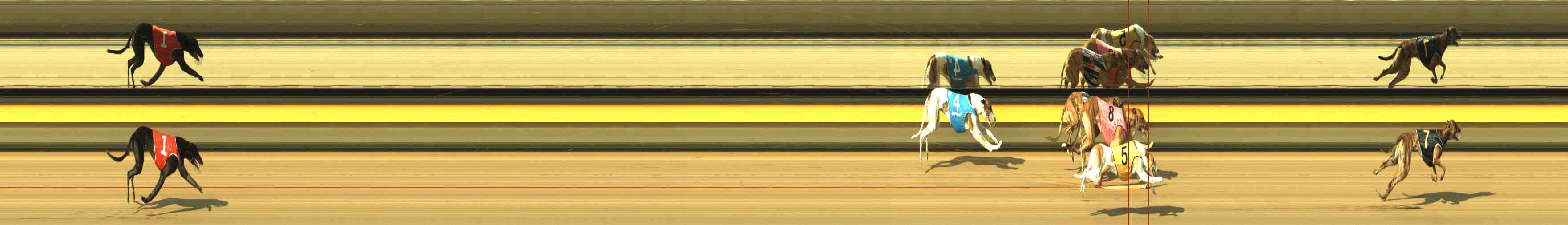 Photo finish for Horsham Race 2