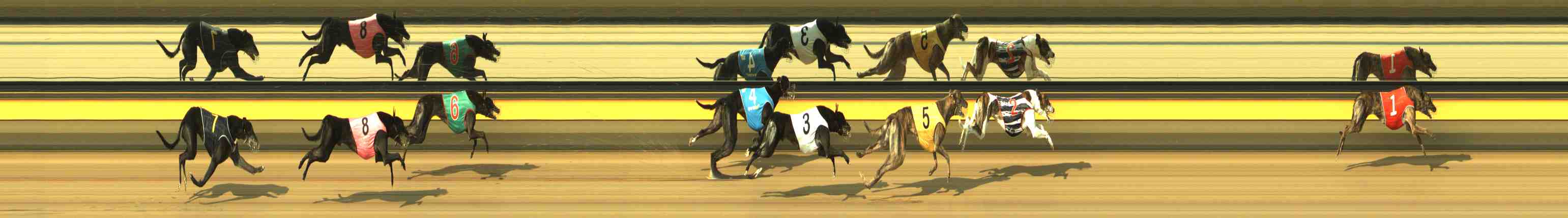 Photo finish for Horsham Race 3