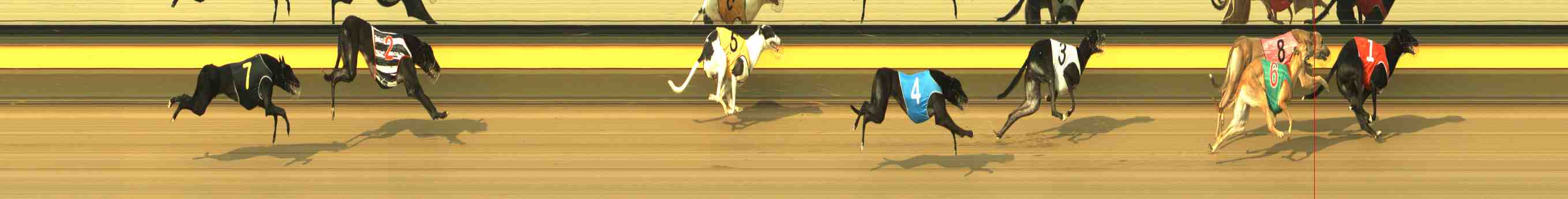 Photo finish for Horsham Race 4