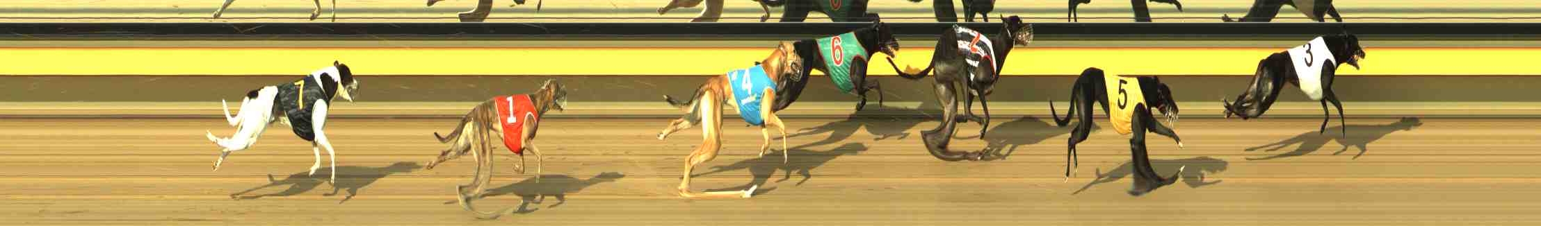 Photo finish for Horsham Race 5