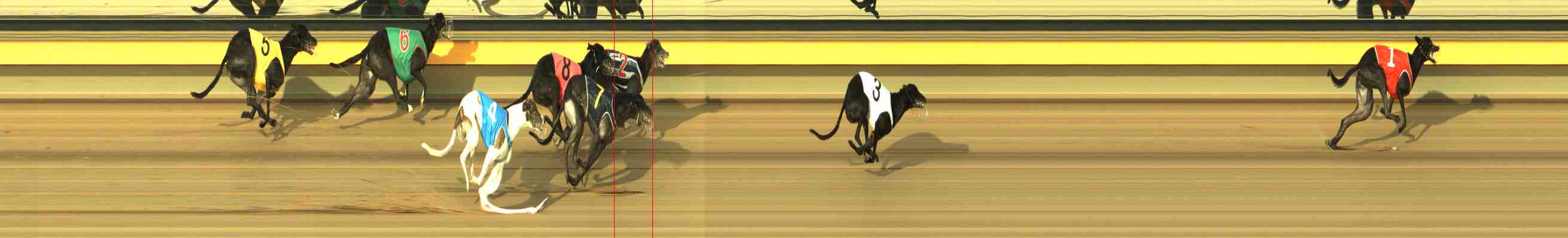 Photo finish for Horsham Race 7