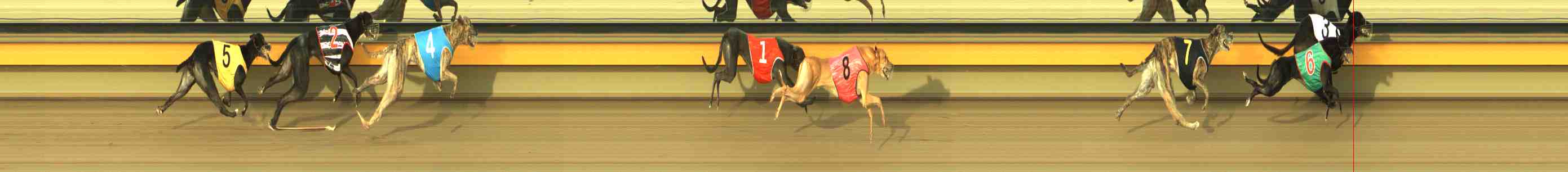Photo finish for Horsham Race 8
