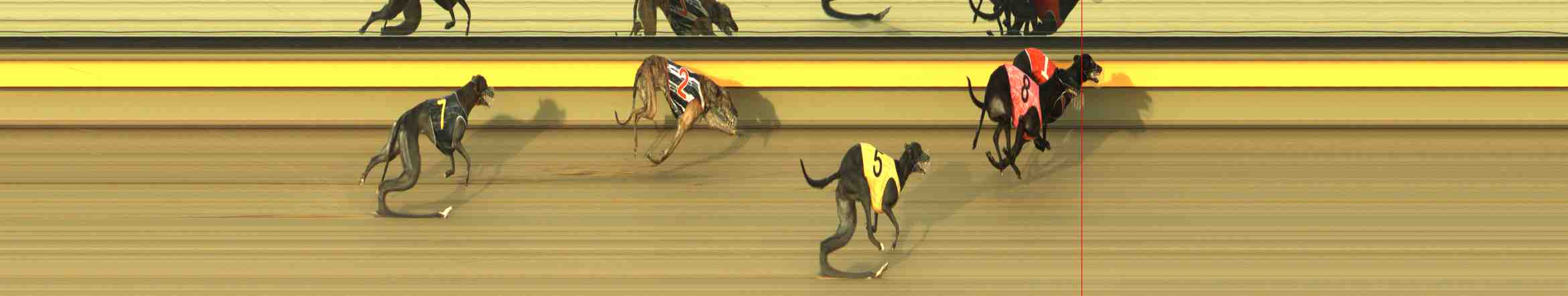 Photo finish for Horsham Race 9