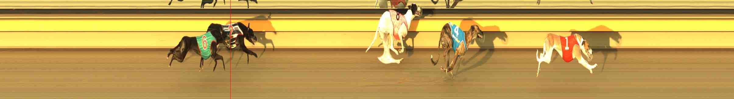 Photo finish for Horsham Race 10