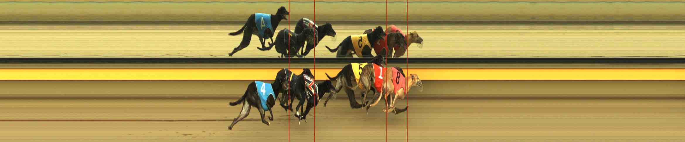 Photo finish for Horsham Race 11
