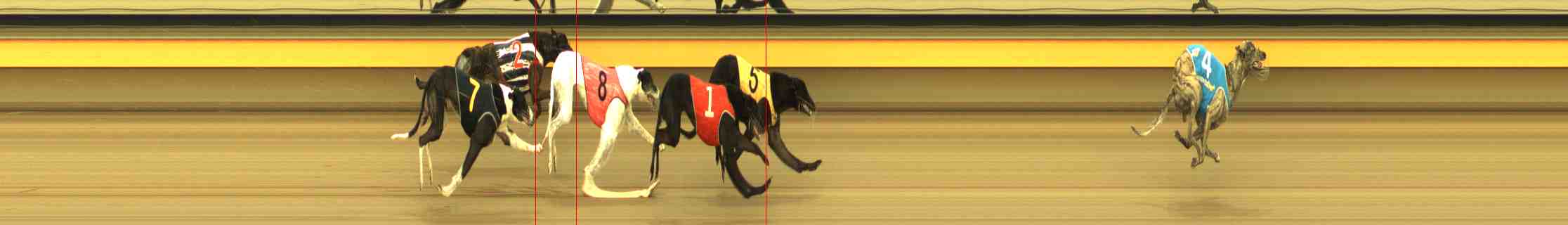 Photo finish for Horsham Race 12