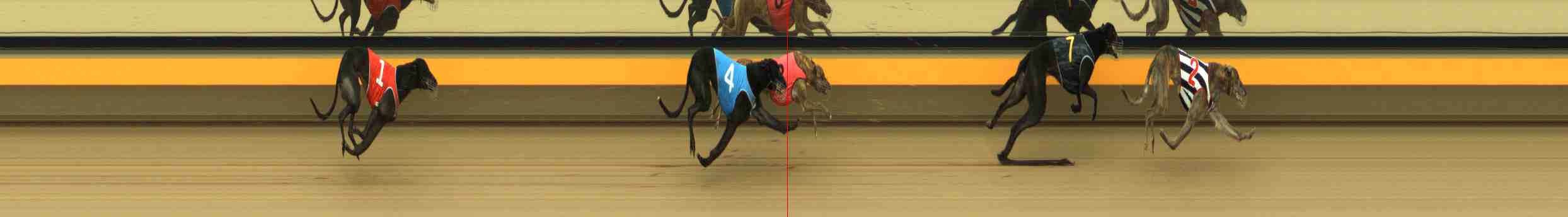 Photo finish for Horsham Race 4