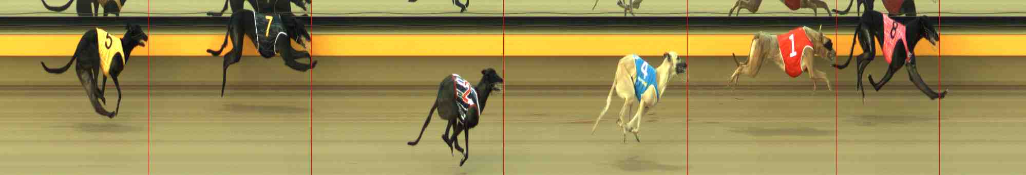 Photo finish for Horsham Race 1