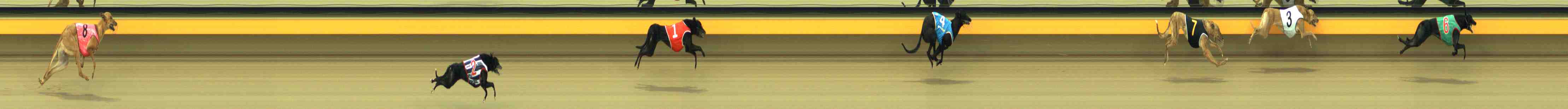 Photo finish for Horsham Race 2