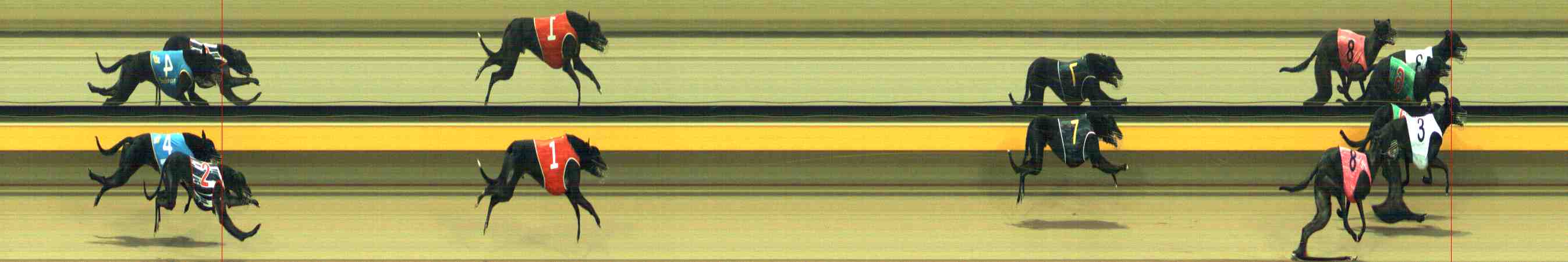 Photo finish for Horsham Race 3