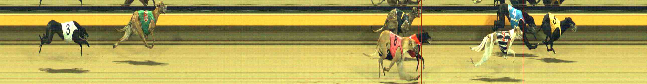 Photo finish for Horsham Race 4