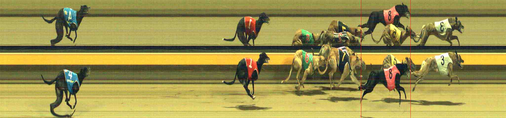 Photo finish for Horsham Race 5