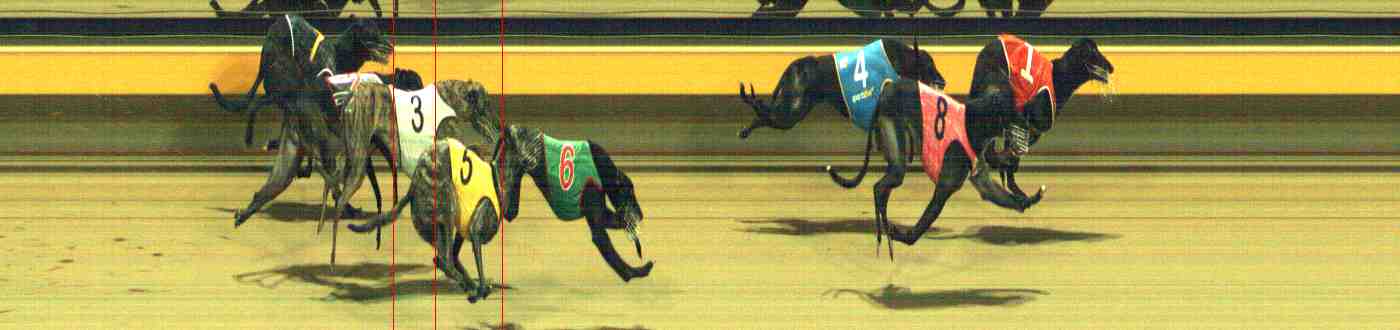 Photo finish for Horsham Race 6