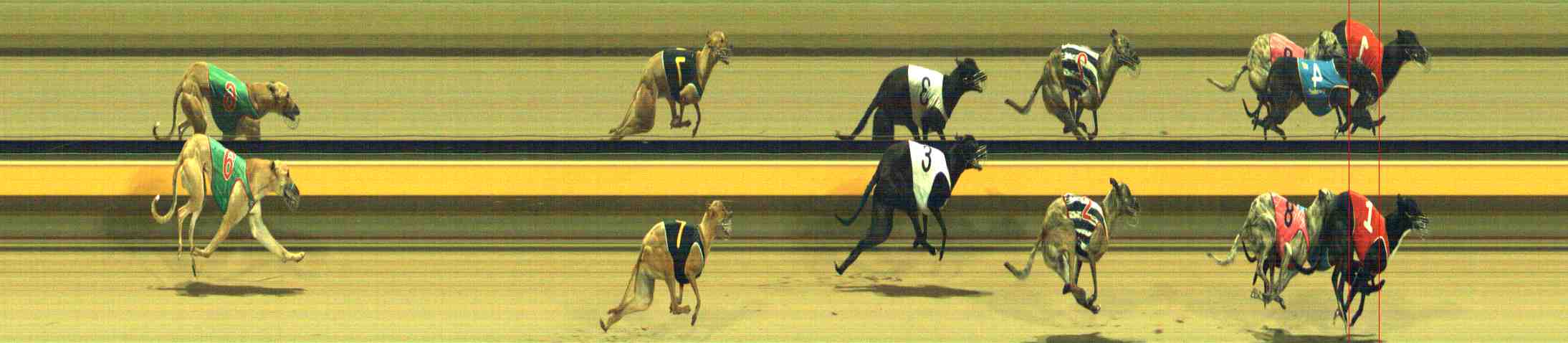 Photo finish for Horsham Race 7