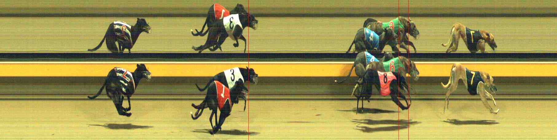 Photo finish for Horsham Race 8