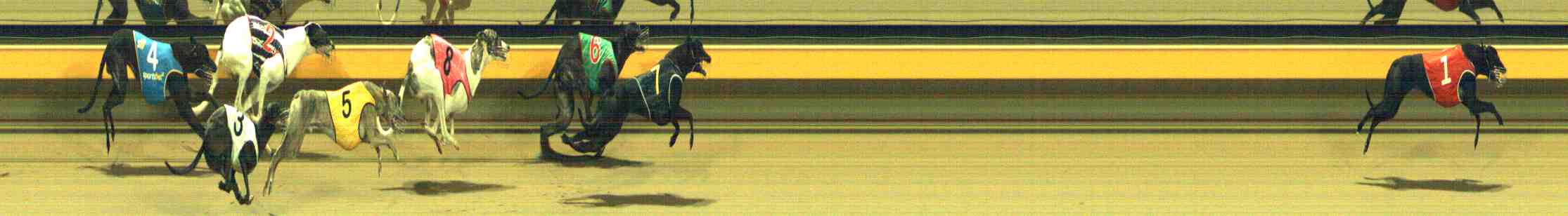 Photo finish for Horsham Race 9
