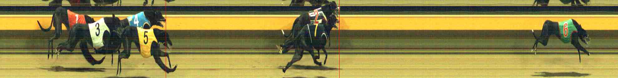 Photo finish for Horsham Race 10