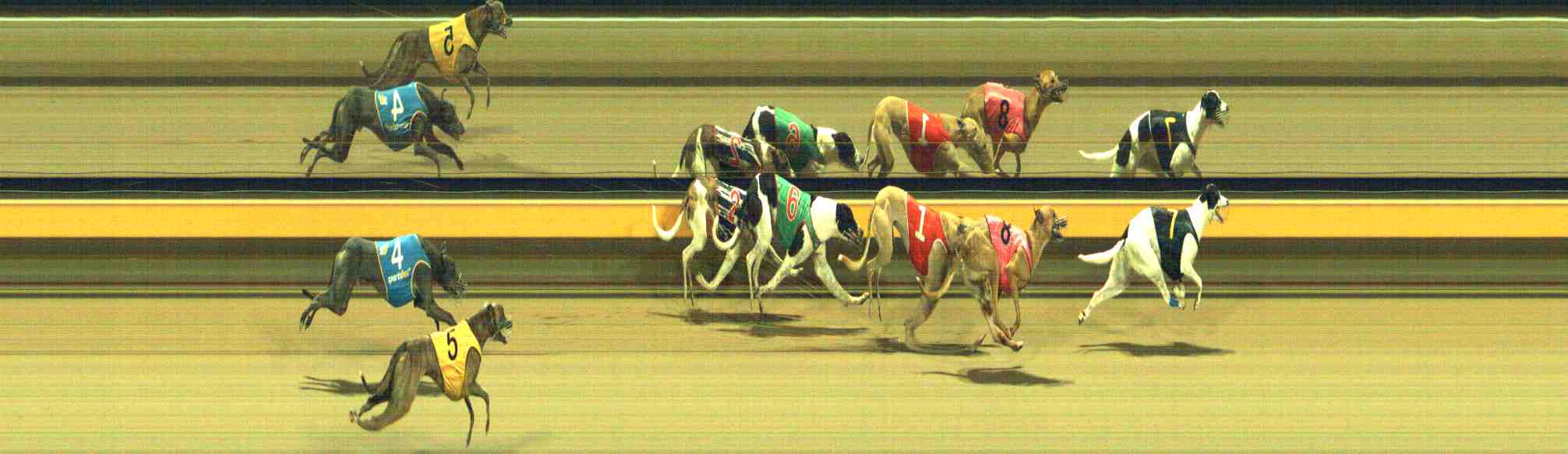 Photo finish for Horsham Race 11