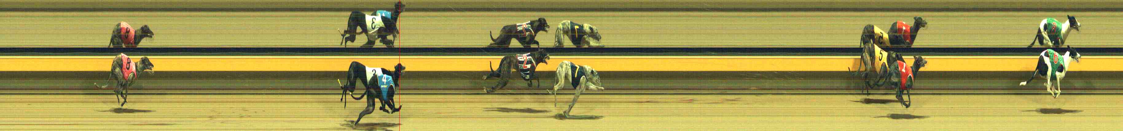 Photo finish for Horsham Race 12