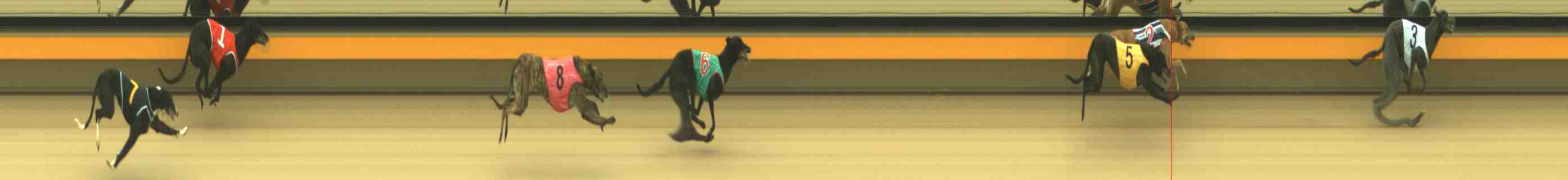 Photo finish for Horsham Race 1