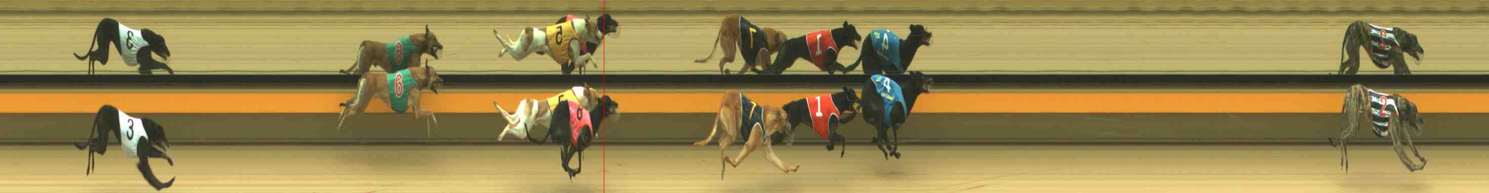 Photo finish for Horsham Race 2
