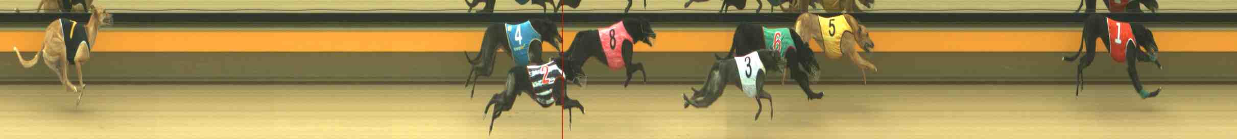 Photo finish for Horsham Race 3