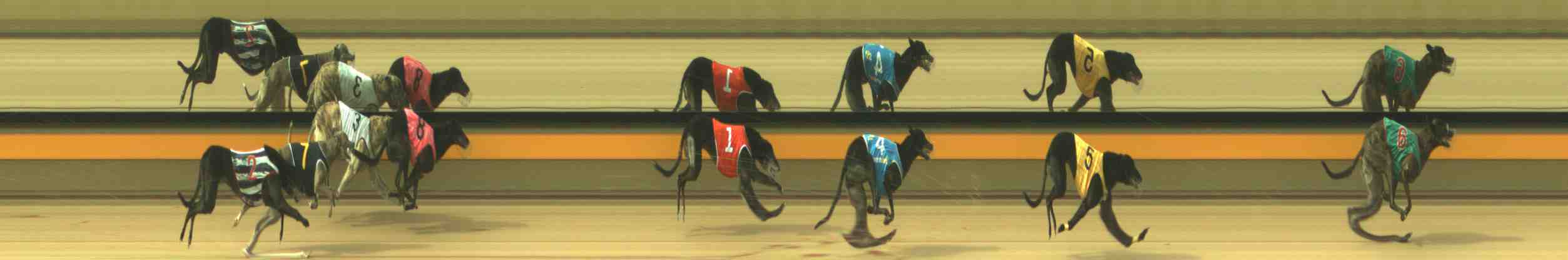 Photo finish for Horsham Race 4