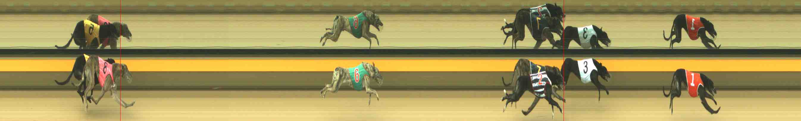 Photo finish for Horsham Race 5
