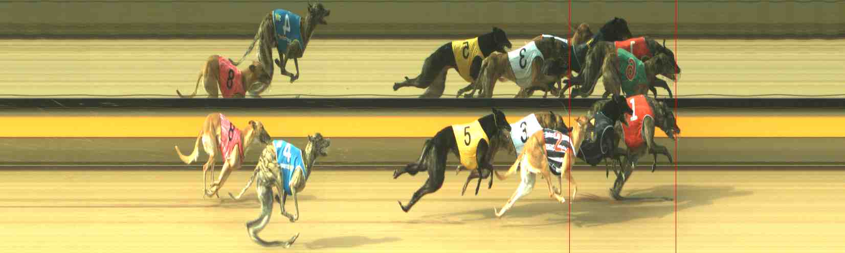 Photo finish for Horsham Race 6