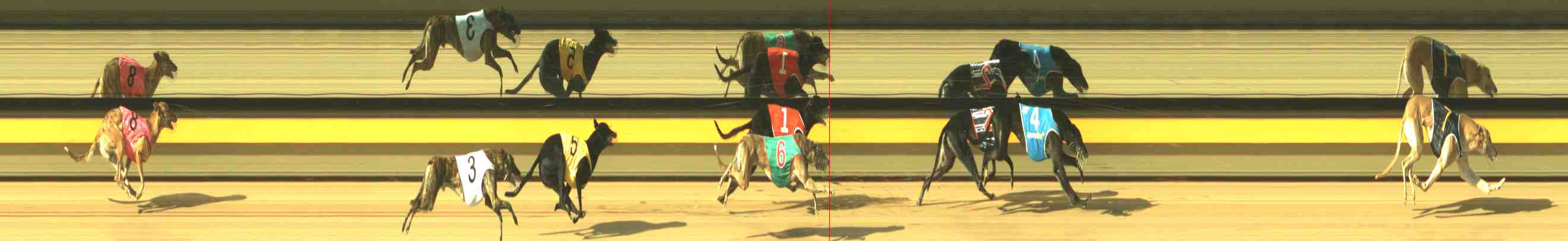Photo finish for Horsham Race 7