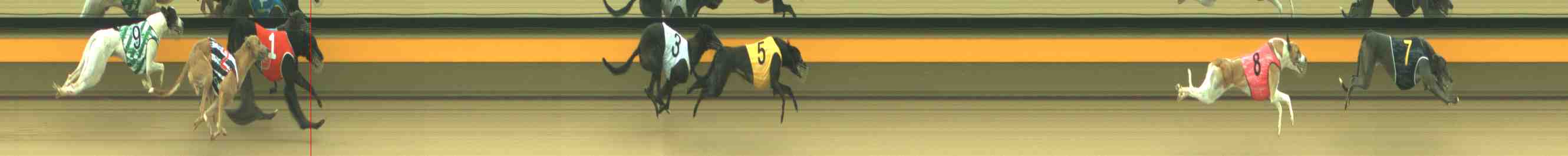 Photo finish for Horsham Race 8