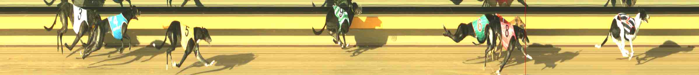 Photo finish for Horsham Race 11