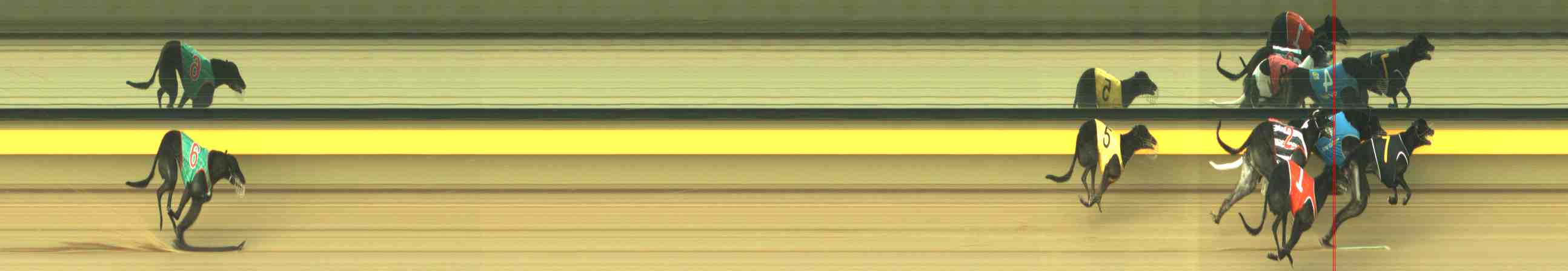 Photo finish for Horsham Race 12