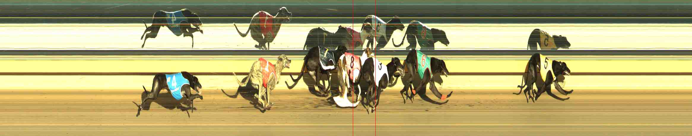Photo finish for Horsham Race 11