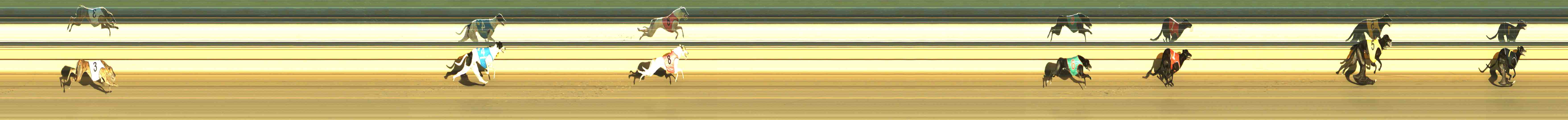 Photo finish for Horsham Race 12