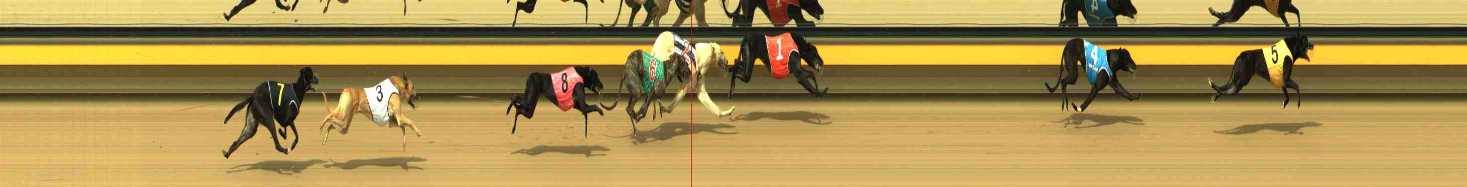 Photo finish for Horsham Race 3