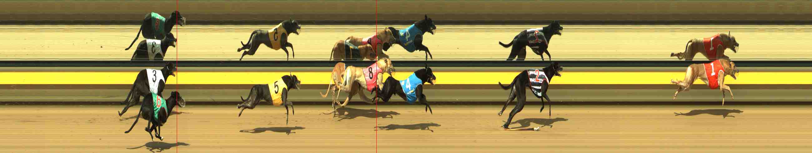 Photo finish for Horsham Race 4