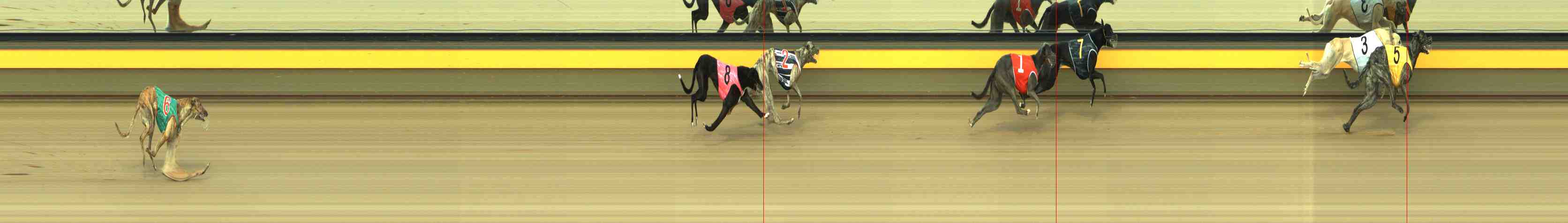 Photo finish for Horsham Race 5