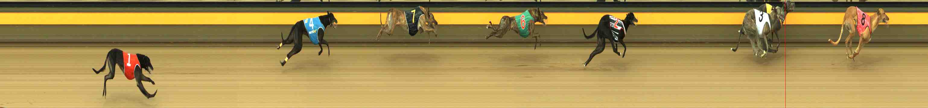 Photo finish for Horsham Race 6