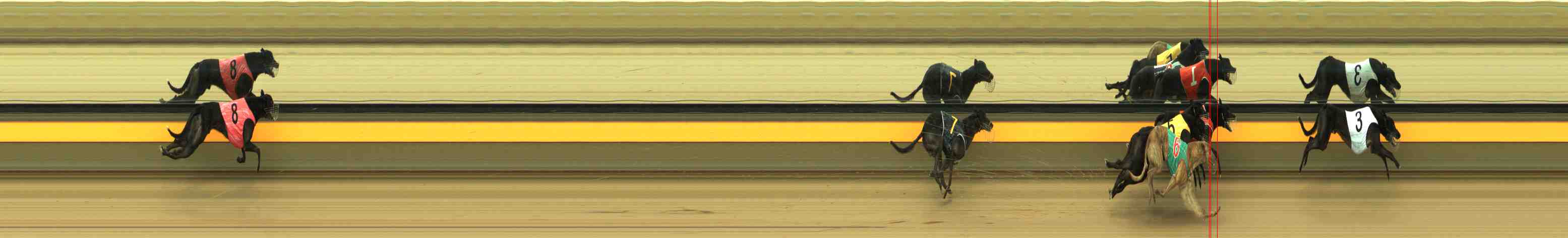 Photo finish for Horsham Race 7
