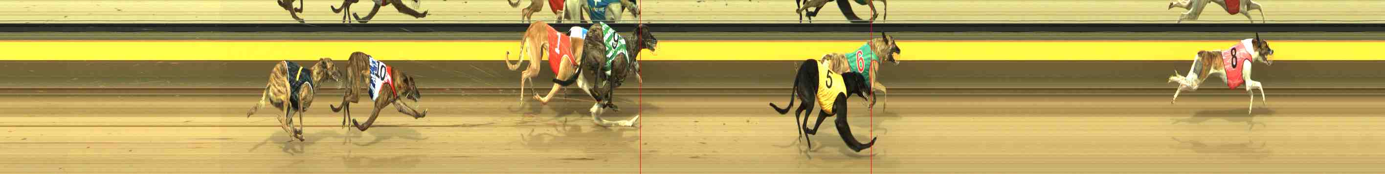 Photo finish for Horsham Race 8