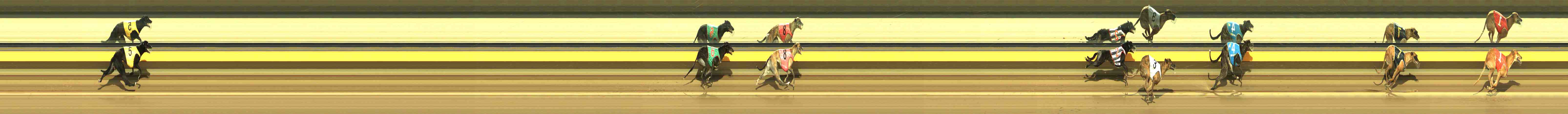 Photo finish for Horsham Race 10