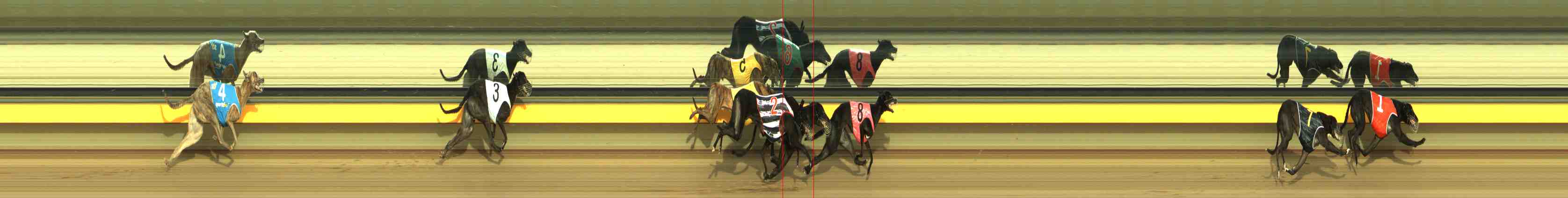 Photo finish for Horsham Race 11