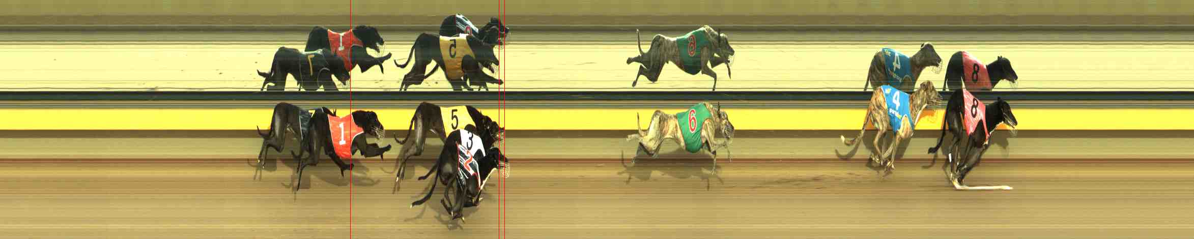 Photo finish for Horsham Race 12